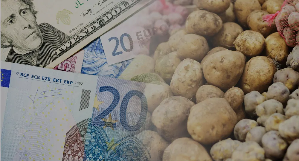 La papa en la economía canaria